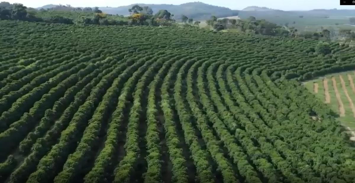 Fazenda, Zona Rural, 0 Quarto, 0 Vaga