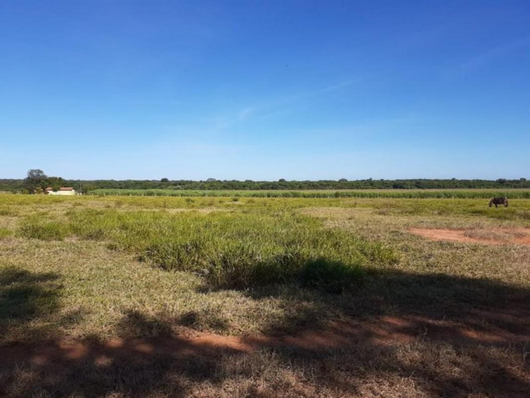 Fazenda, Centro, 0 Quarto, 0 Vaga