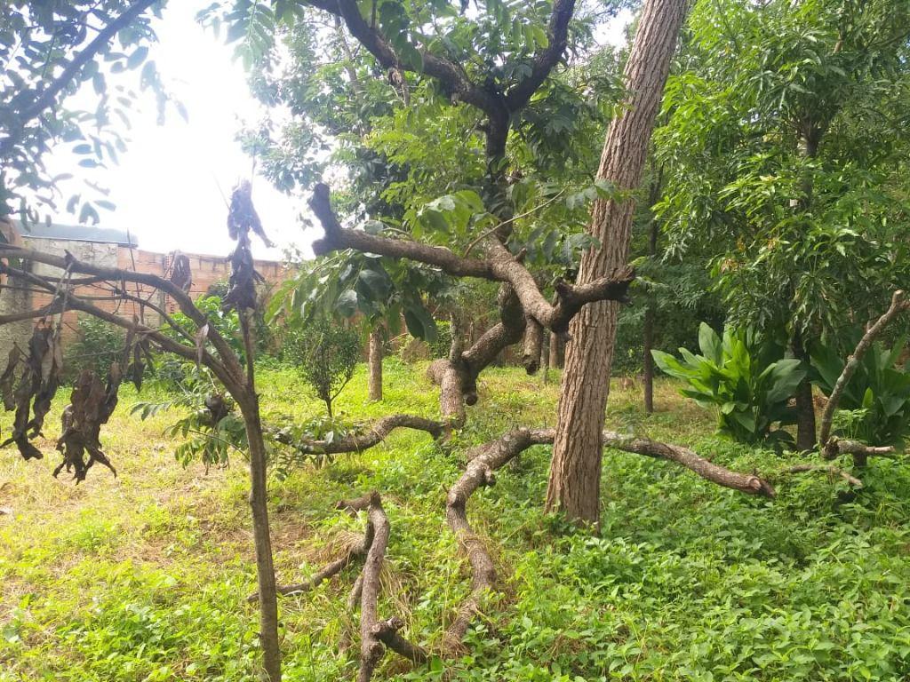 Fazenda, Ravena, 3 Quartos, 10 Vagas, 1 Suíte