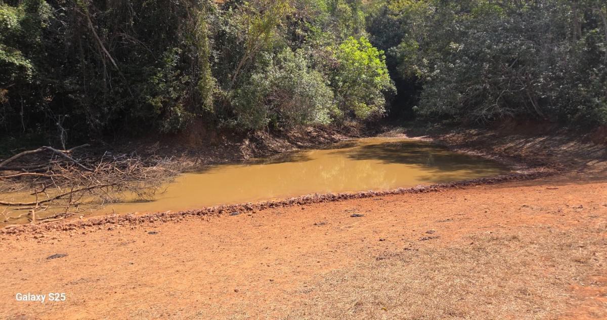 Fazenda, Centro, 1 Quarto, 21 Vagas, 1 Suíte