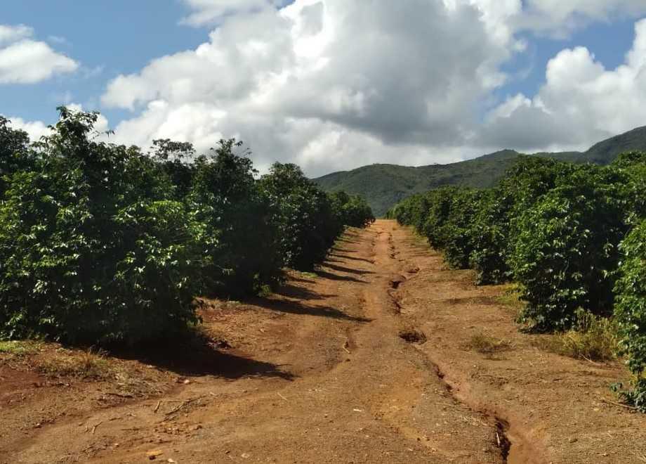 Fazenda, Zona Rural, 1 Quarto, 0 Vaga