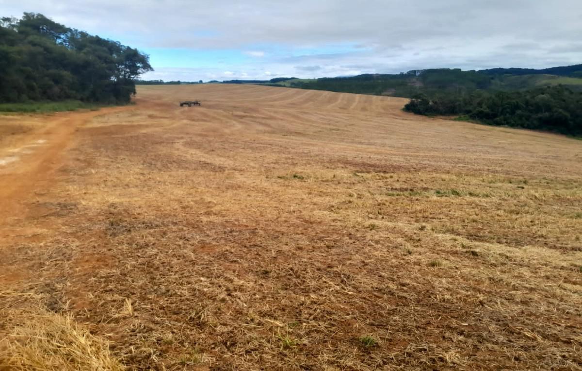 Fazenda, Zona Rural, 0 Quarto, 0 Vaga