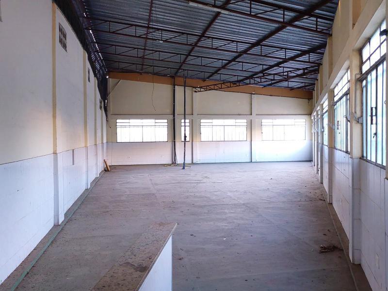 Galpão, Cinquentenário