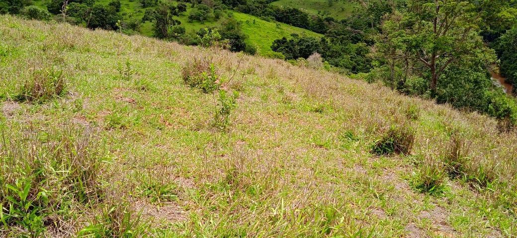 Fazenda, Zona Rural, 1 Quarto, 0 Vaga