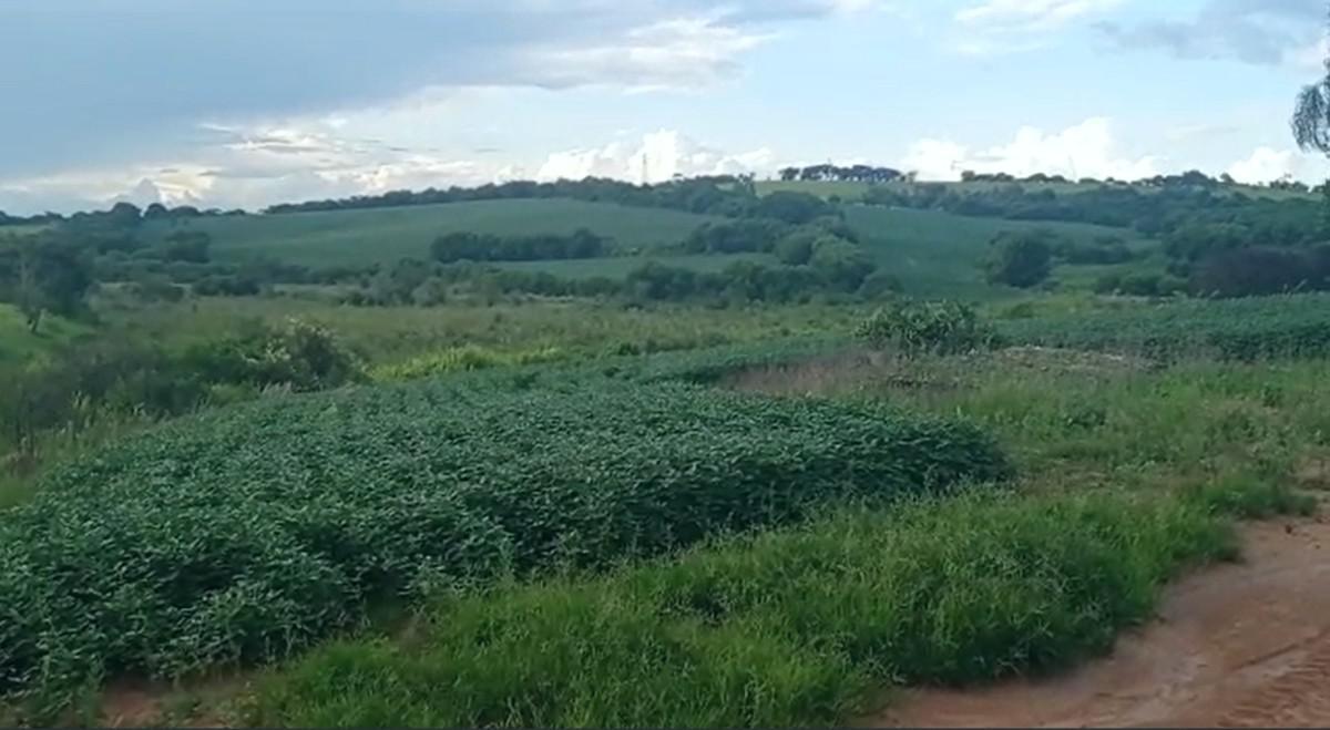 Fazenda, Zona Rural, 3 Quartos, 1 Vaga, 1 Suíte