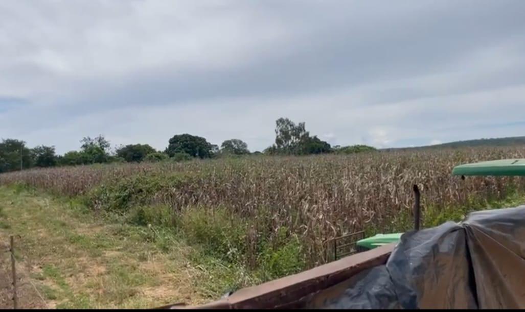 Fazenda, Zona Rural, 3 Quartos, 0 Vaga