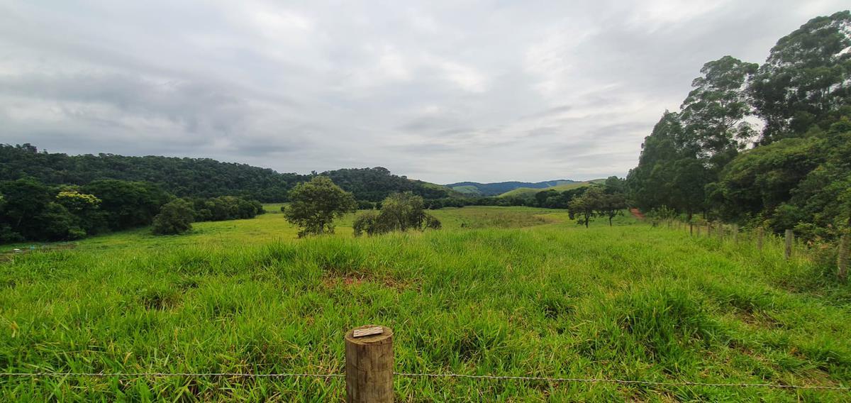 Fazenda, Centro, 4 Quartos, 2 Vagas, 1 Suíte