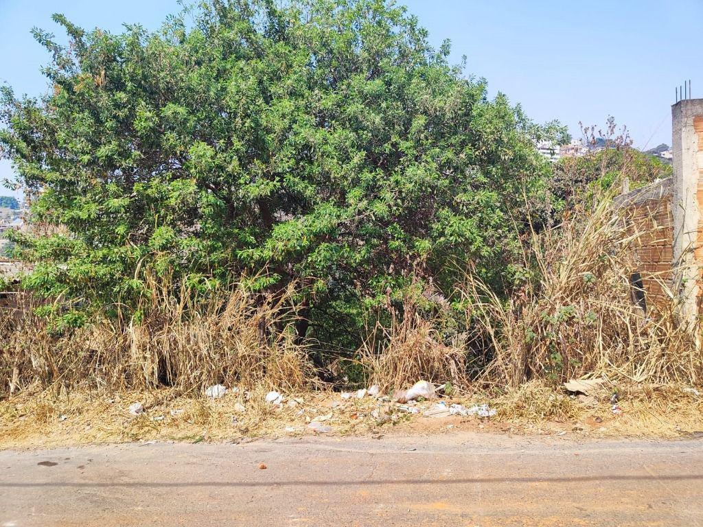 Lote, Nossa Senhora de Fátima, 0 Quarto, 0 Vaga