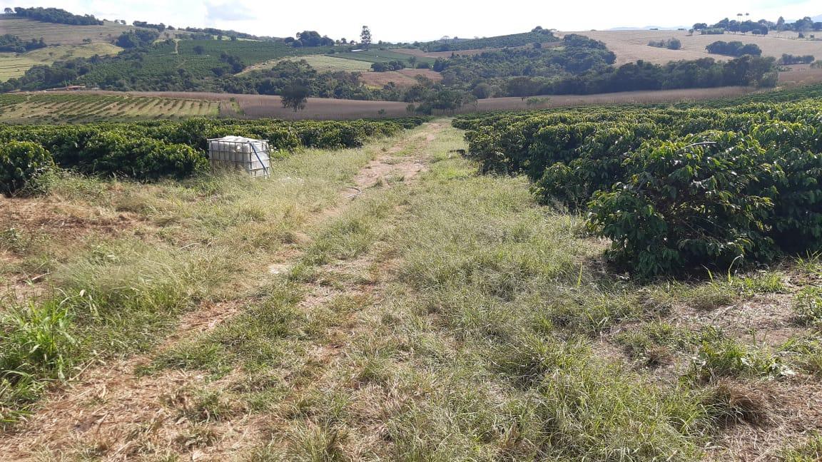 Fazenda, Centro, 3 Quartos, 1 Vaga