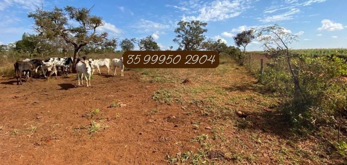 Fazenda, Zona Rural, 0 Quarto, 0 Vaga