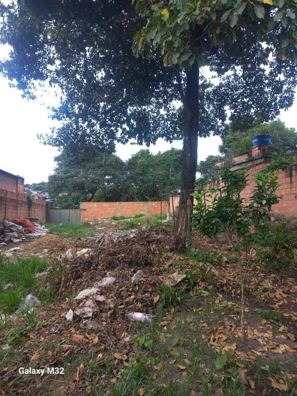 Lote, Florença, 0 Quarto, 0 Vaga