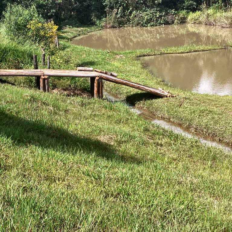 Fazenda, Centro, 4 Quartos, 10 Vagas, 1 Suíte