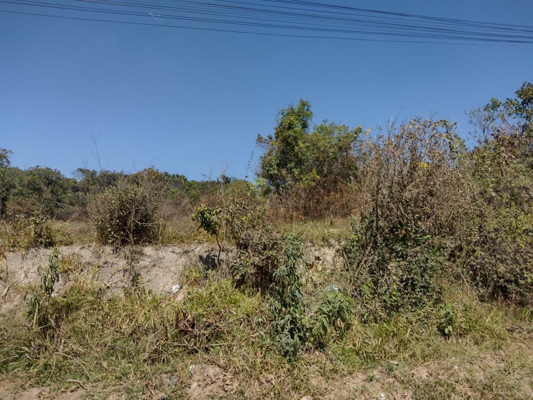 Lote, Chácara São Geraldo, 0 Quarto, 0 Vaga