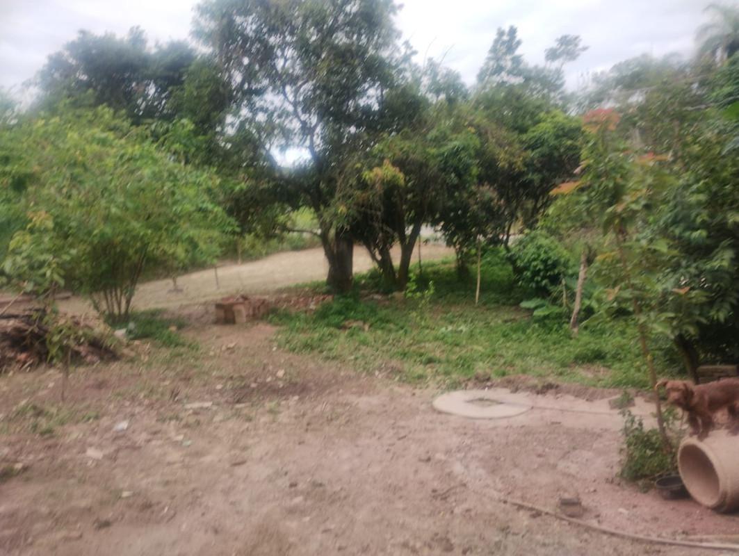 Fazenda, Centro, 0 Quarto, 0 Vaga