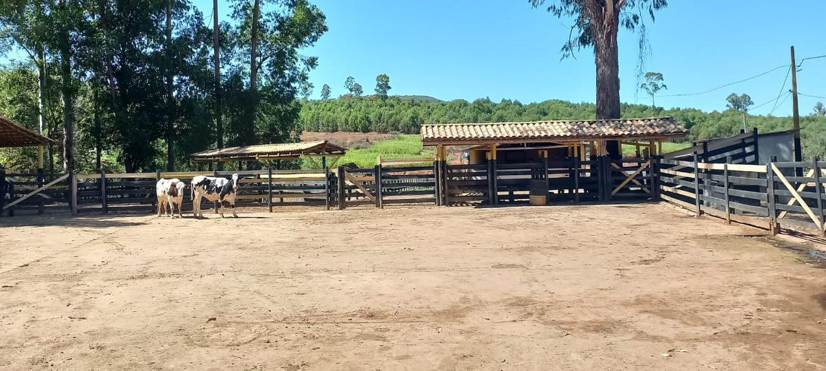 Fazenda, Centro, 4 Quartos, 2 Vagas, 1 Suíte