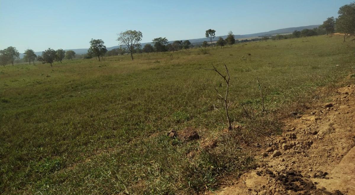 Fazenda, Zona Rural, 0 Quarto, 0 Vaga