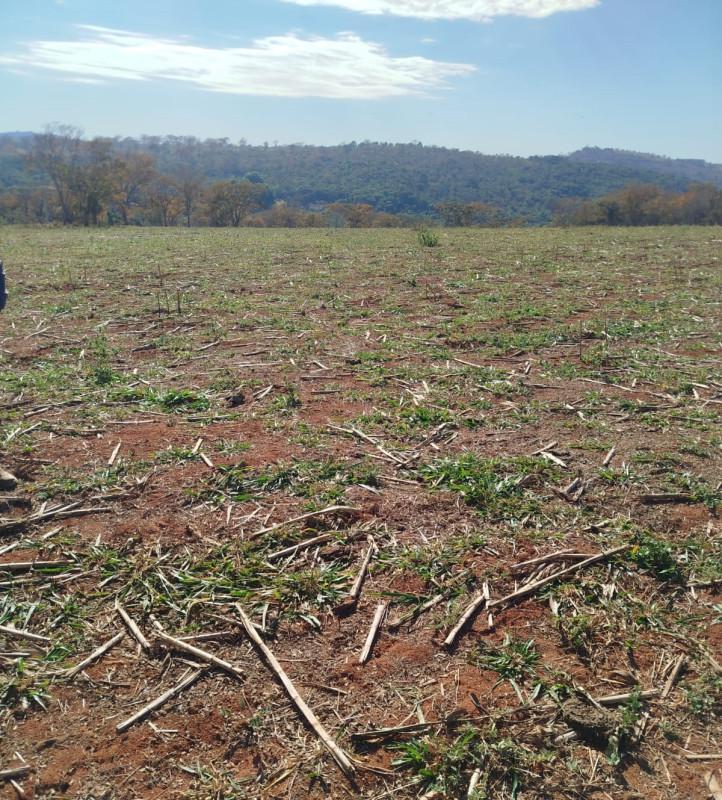 Fazenda, Zona Rural, 0 Quarto, 0 Vaga