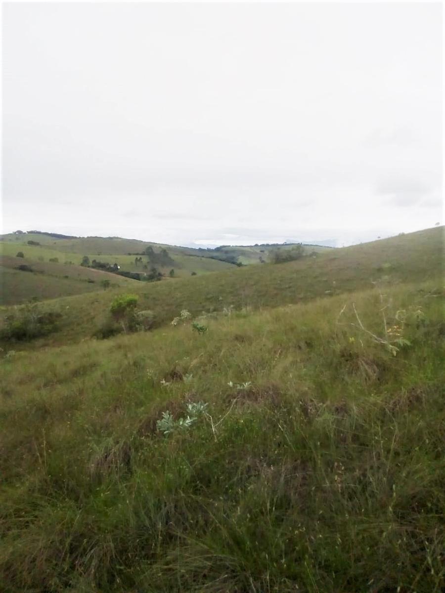 Fazenda, Centro, 2 Quartos, 1 Vaga