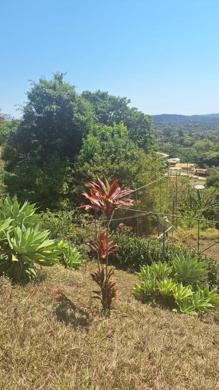 Fazenda, Condomínio Solar das Palmeiras, 5 Quartos, 10 Vagas, 1 Suíte