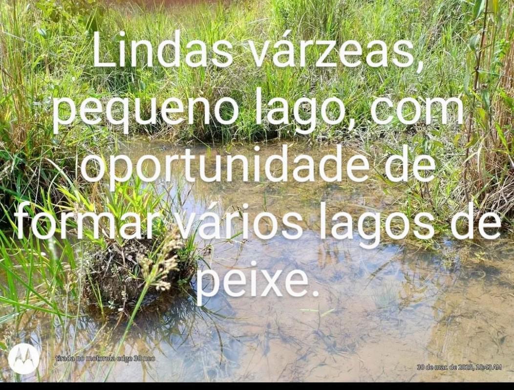 Lote, Centro, 0 Quarto, 0 Vaga