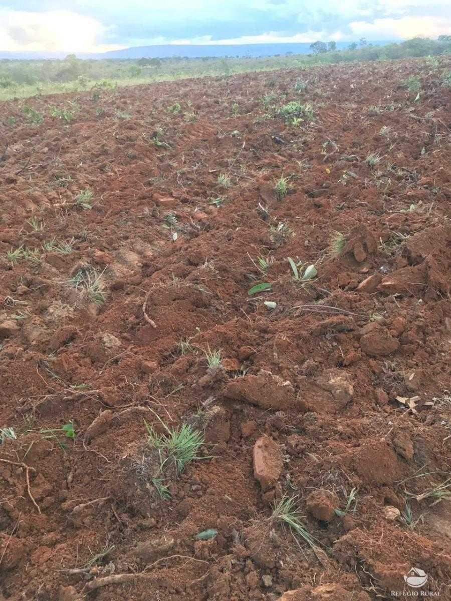 Fazenda, Zona Rural, 3 Quartos, 0 Vaga