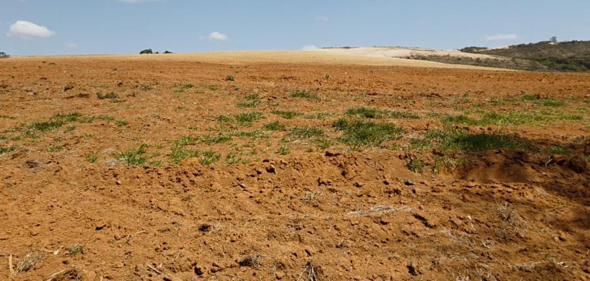 Fazenda, Zona Rural, 0 Quarto, 0 Vaga