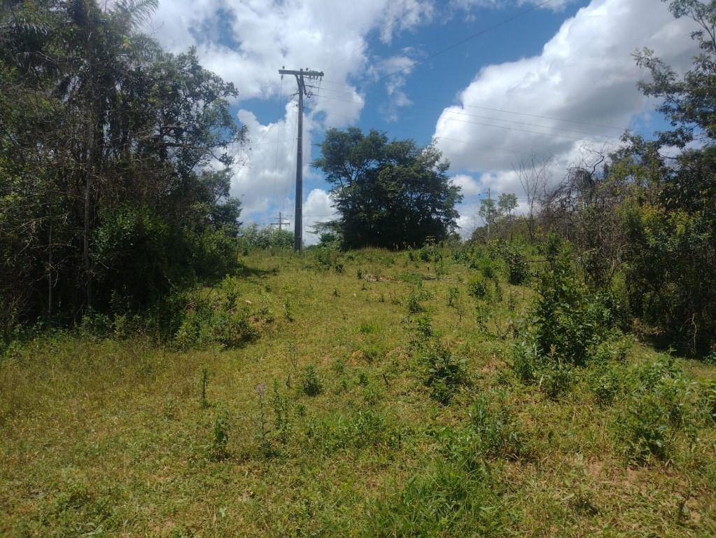 Fazenda, Adelmolândia, 0 Quarto, 0 Vaga