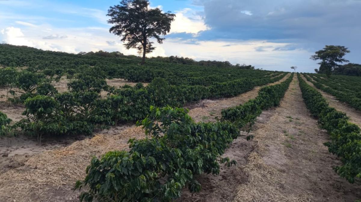 Fazenda, Zona Rural, 0 Quarto, 0 Vaga