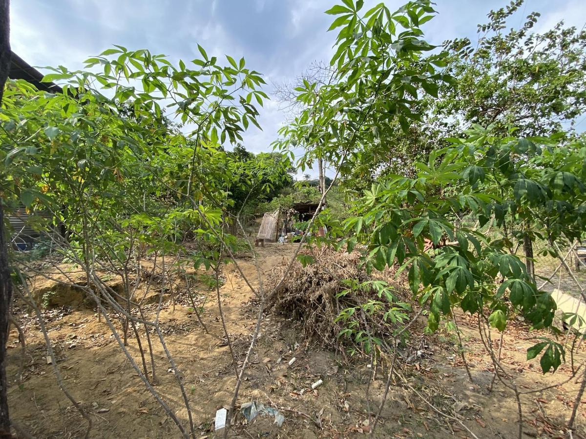 Lote, Gávea, 0 Quarto, 0 Vaga