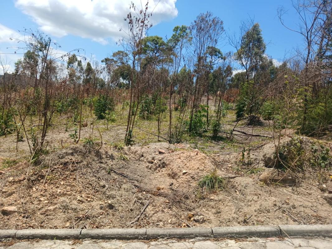 Lote, Roças Novas, 0 Quarto, 0 Vaga