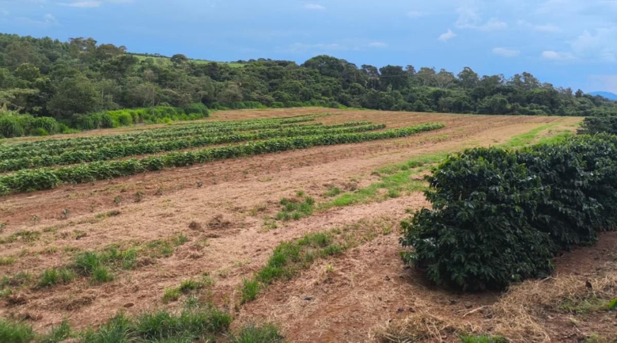 Fazenda, Zona Rural, 0 Quarto, 0 Vaga