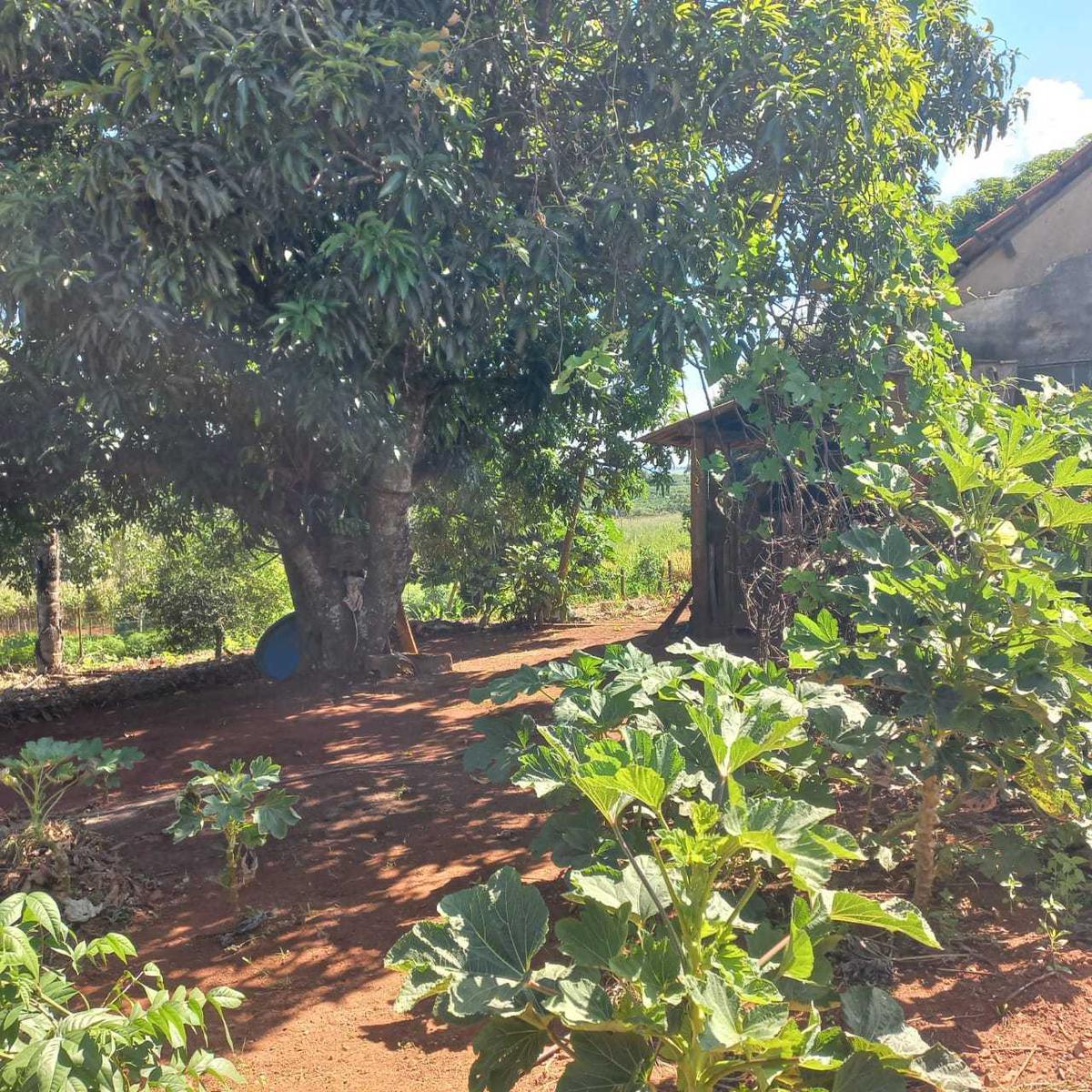 Fazenda, Zona Rural, 0 Quarto, 0 Vaga