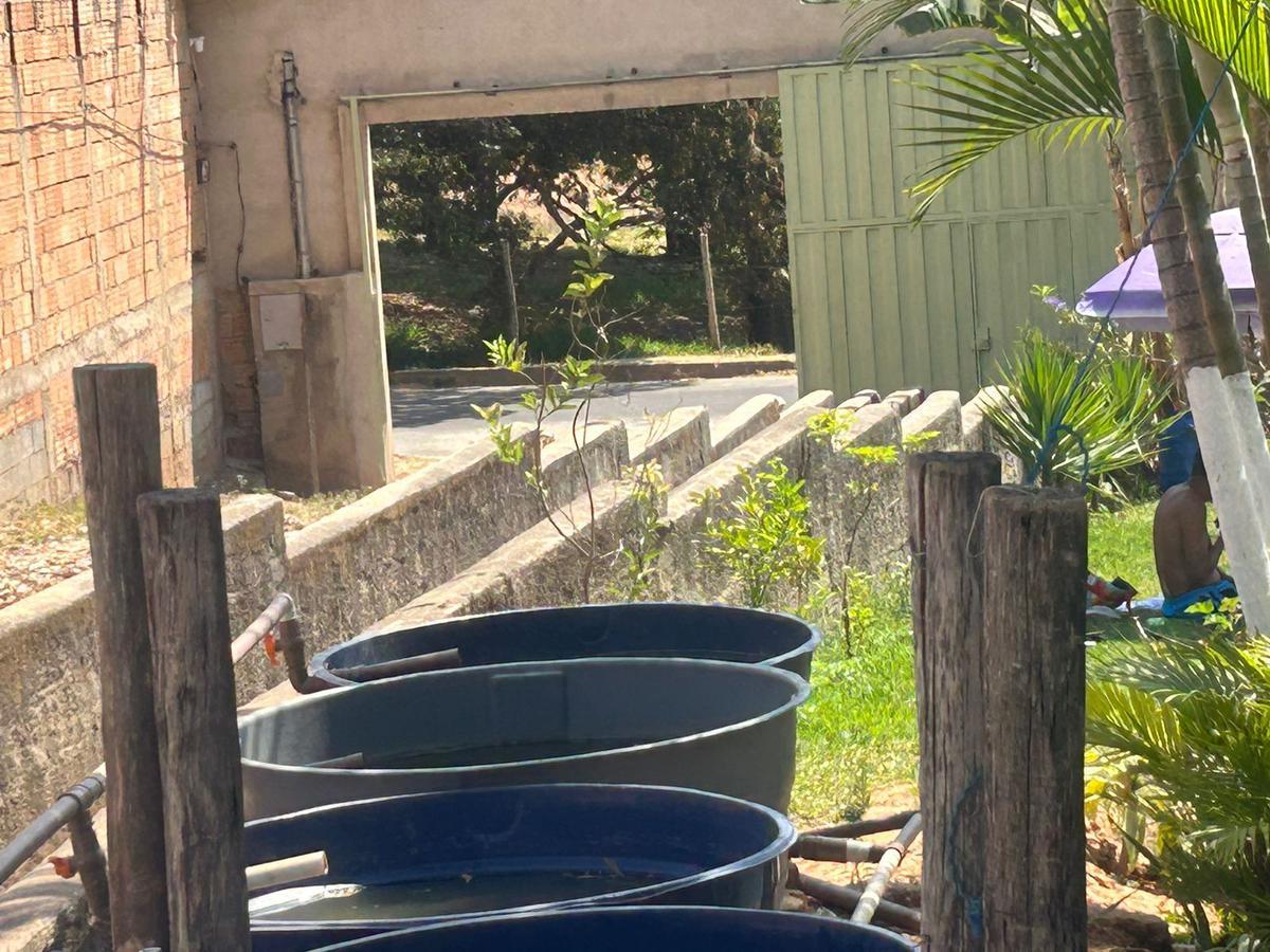 Lote, Trevo, 5 Quartos, 5 Vagas