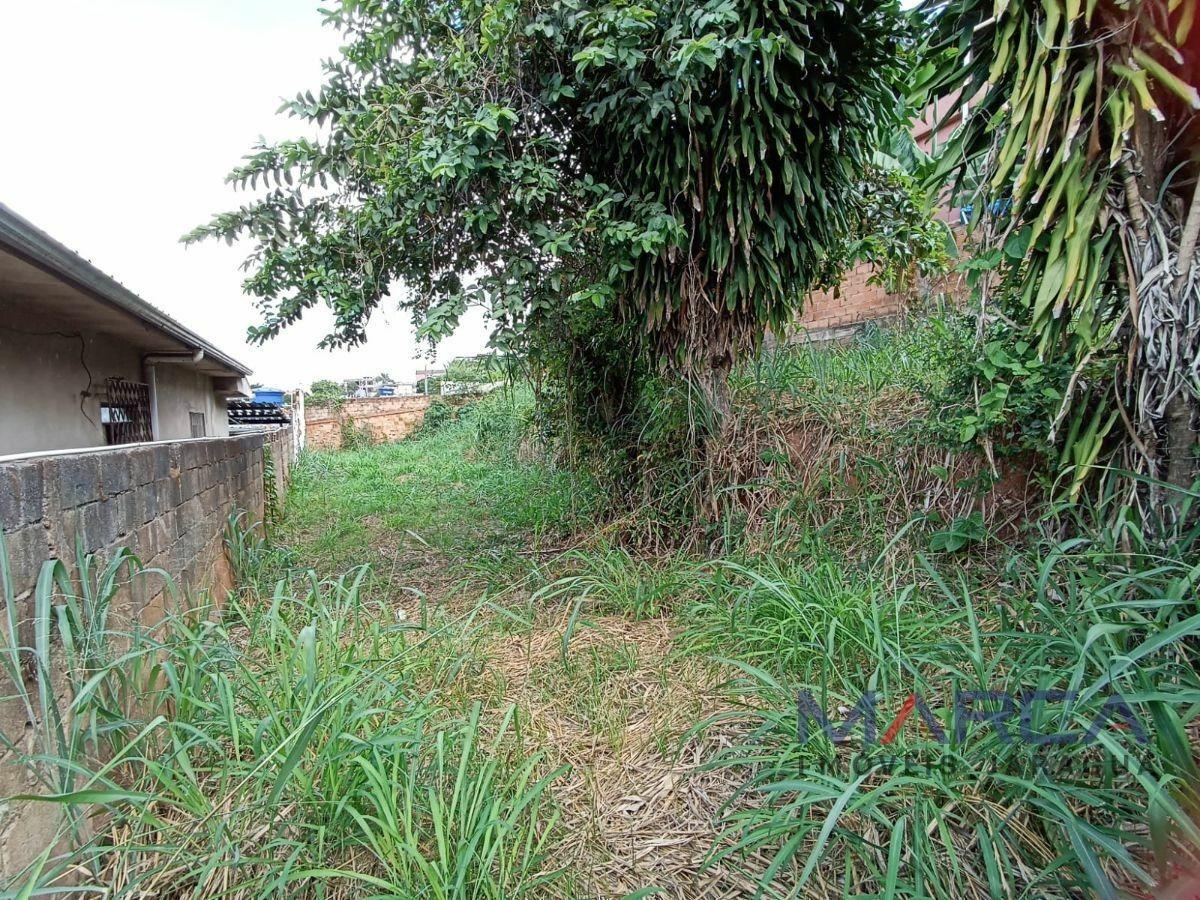Lote, Santa Cruz, 0 Quarto, 0 Vaga