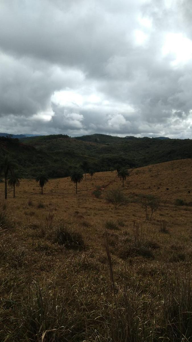 Lote, Zona Rural, 0 Quarto, 0 Vaga
