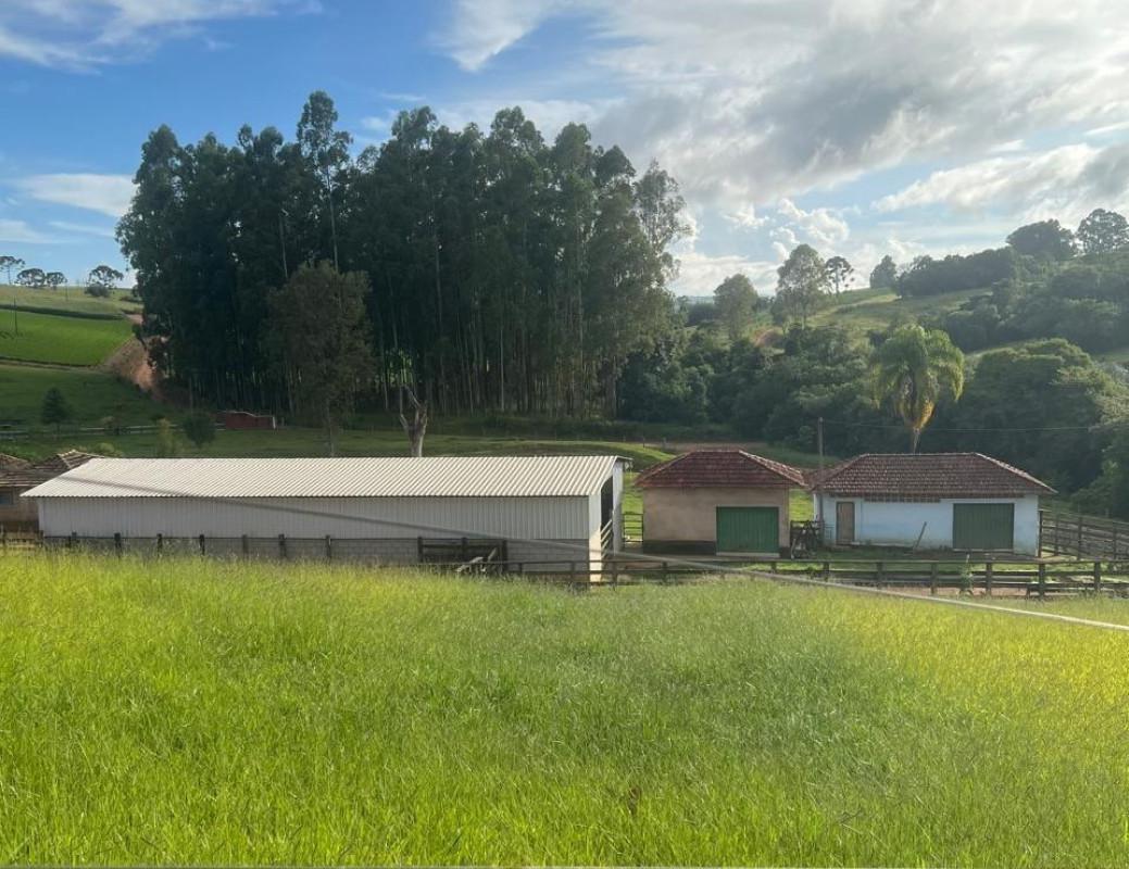 Fazenda, Zona Rural, 0 Quarto, 0 Vaga