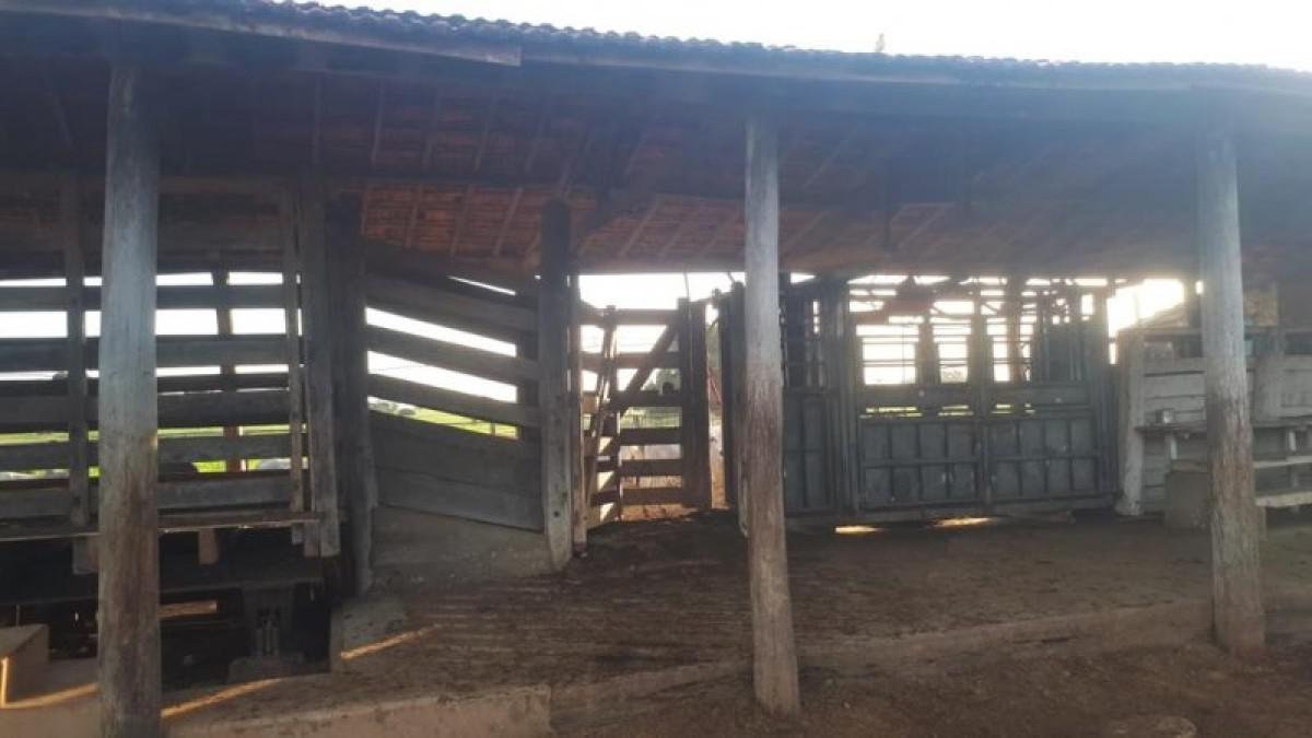 Fazenda, Centro, 0 Quarto, 0 Vaga