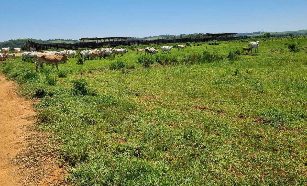 Fazenda, Centro, 0 Quarto, 0 Vaga