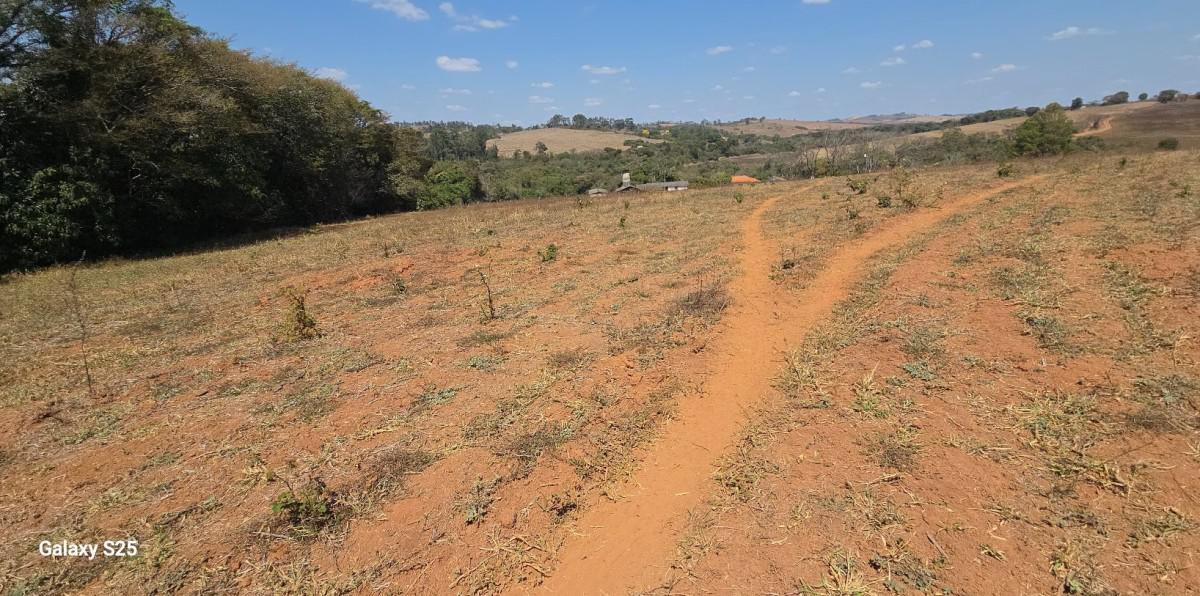 Fazenda, Centro, 1 Quarto, 21 Vagas, 1 Suíte