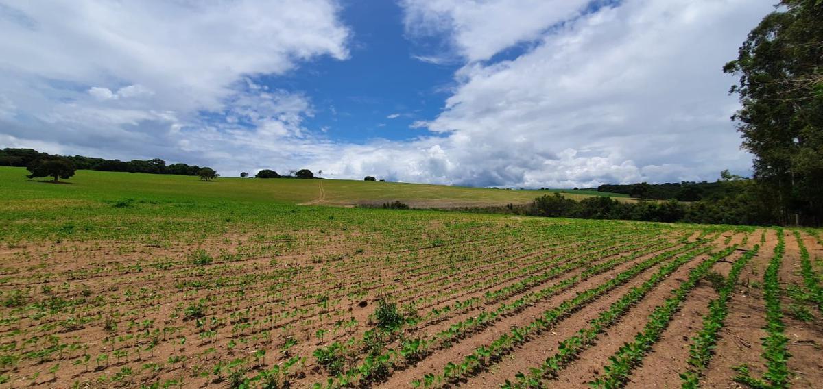 Fazenda, Centro, 1 Quarto, 1 Vaga, 1 Suíte