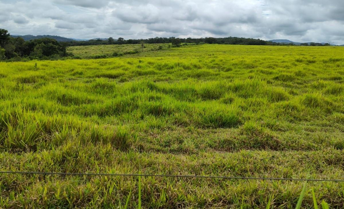 Fazenda, Zona Rural, 5 Quartos, 0 Vaga