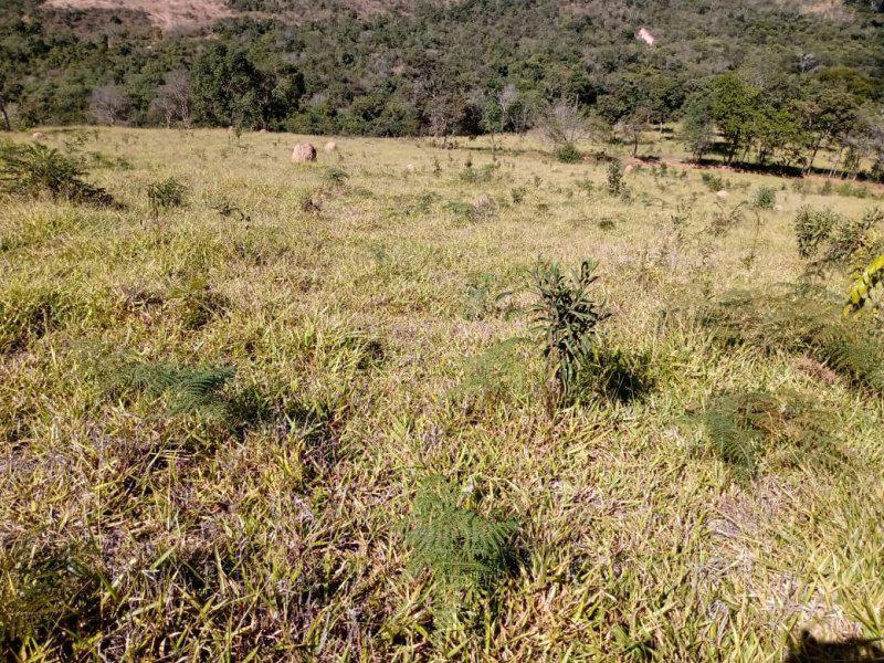 Lote, Centro, 0 Quarto, 0 Vaga