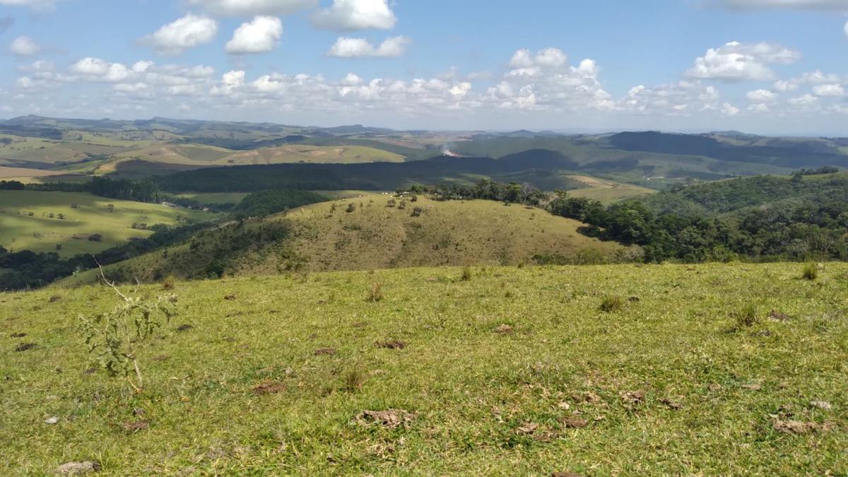 Fazenda, Centro, 0 Quarto, 0 Vaga