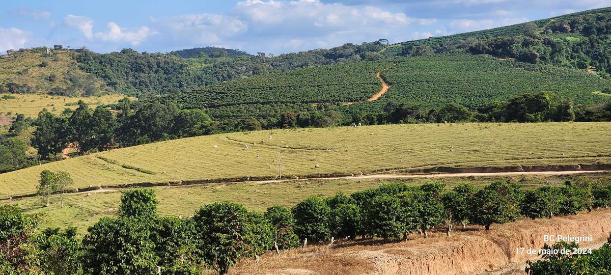 Fazenda, Zona Rural, 9 Quartos, 0 Vaga, 5 Suítes
