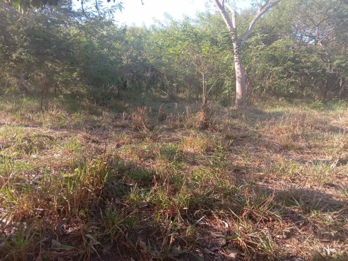 Fazenda, Zona Rural, 0 Quarto, 0 Vaga