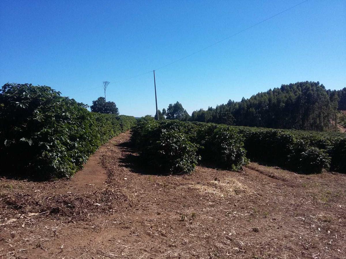 Fazenda, Centro, 3 Quartos, 1 Vaga, 1 Suíte
