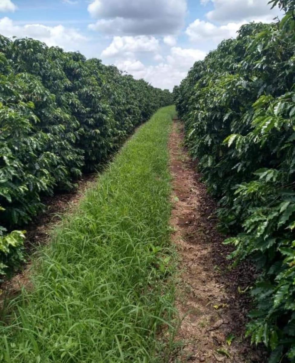 Fazenda, Zona Rural, 0 Quarto, 0 Vaga