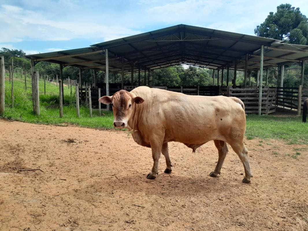 Fazenda, Zona Rural, 0 Quarto, 0 Vaga