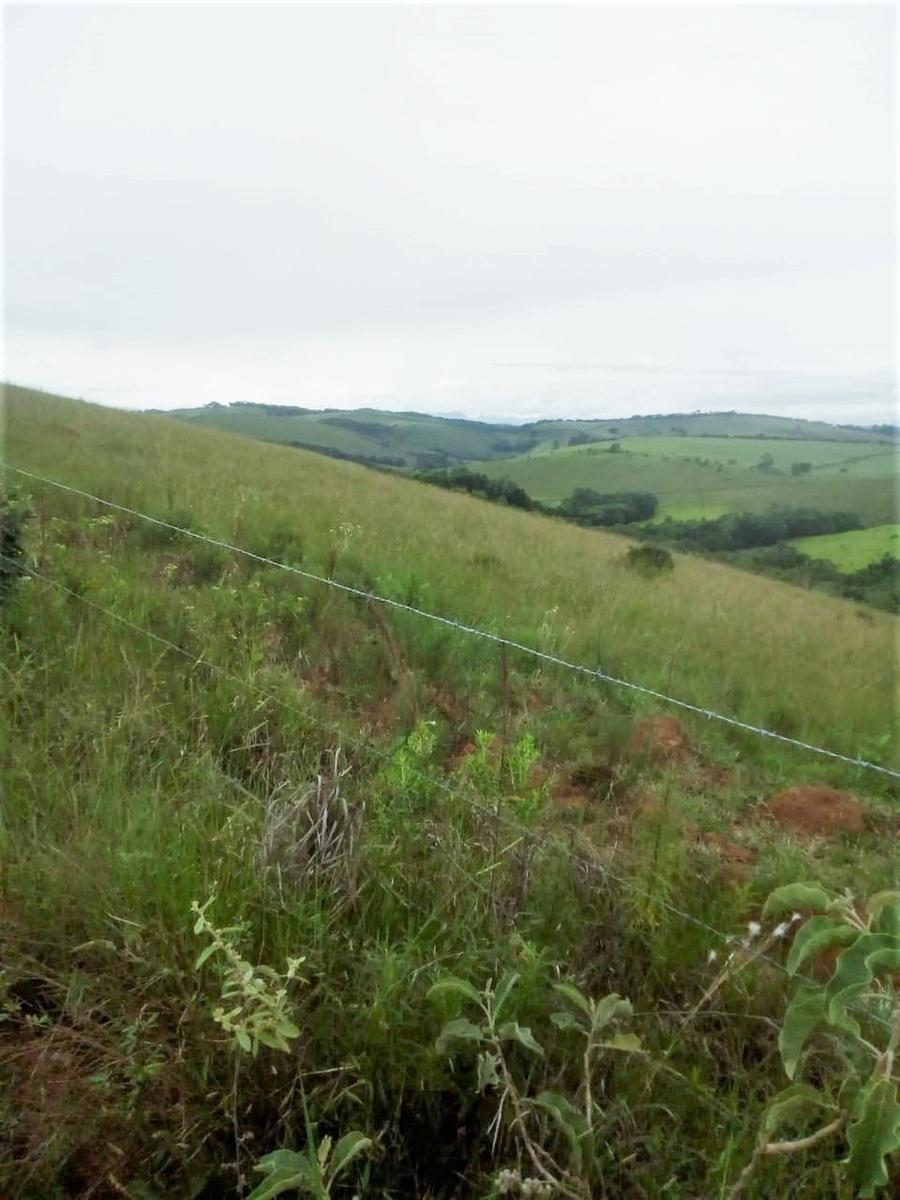 Fazenda, Centro, 2 Quartos, 1 Vaga