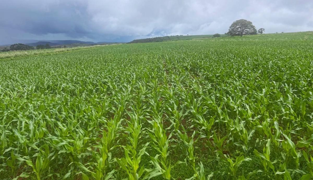 Fazenda, Zona Rural, 0 Quarto, 0 Vaga